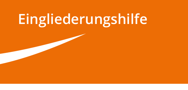 Grafik Eingliederungshilfe C
